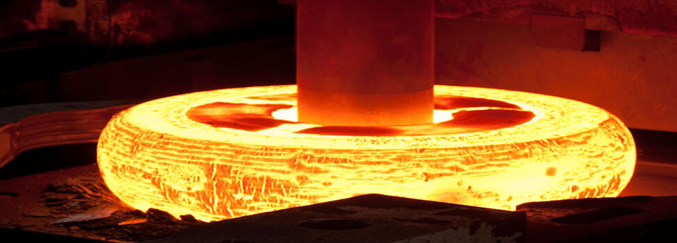 Alloy Steel F91 Flanges Manufacturer