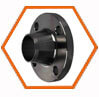 Alloy Steel Weld Neck Flanges
