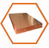 Copper Nickel 70/30 Plates