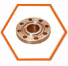 Copper Nickel Ring Type Joint Flanges