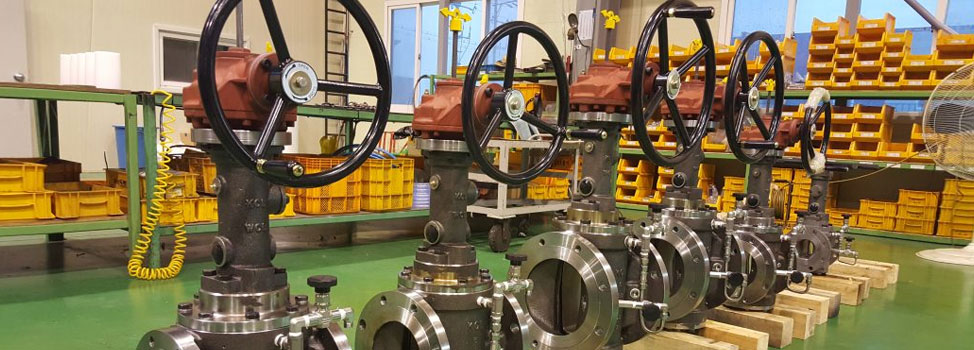 Alloy Steel Valves Manufacturer