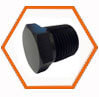 Carbon Steel ASTM A105 Plug