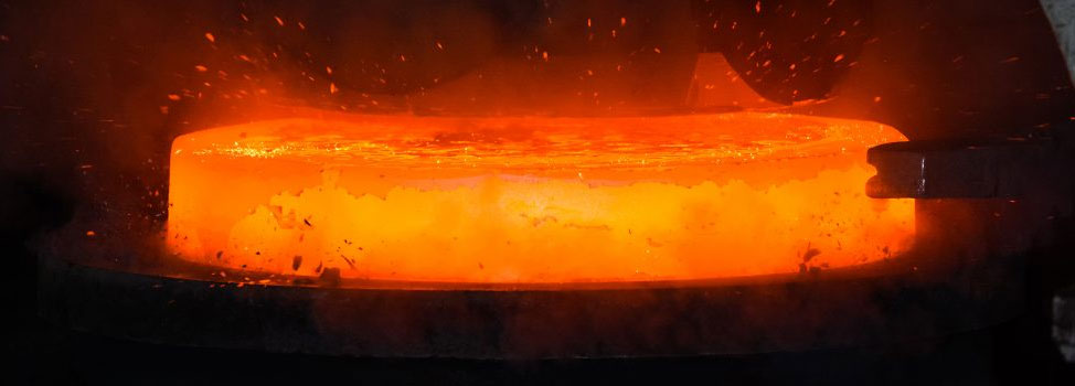 Hastelloy Flanges Manufacturer Manufacturer