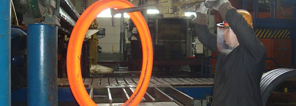 SMO 254 Flanges Manufacturer