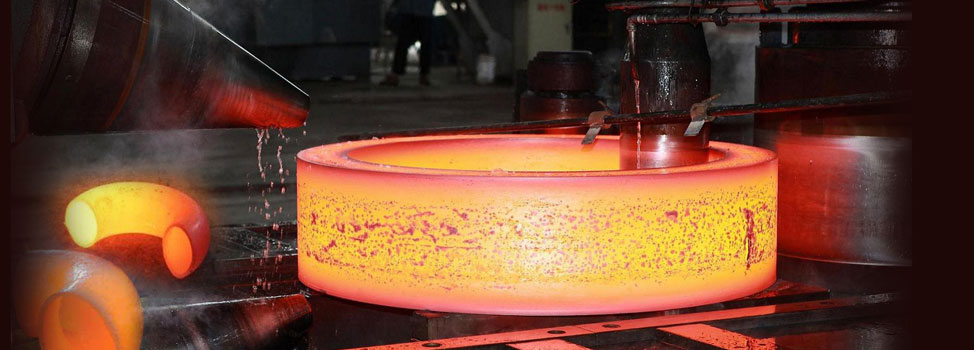 Stainless Steel 317/317L Flanges Manufacturer